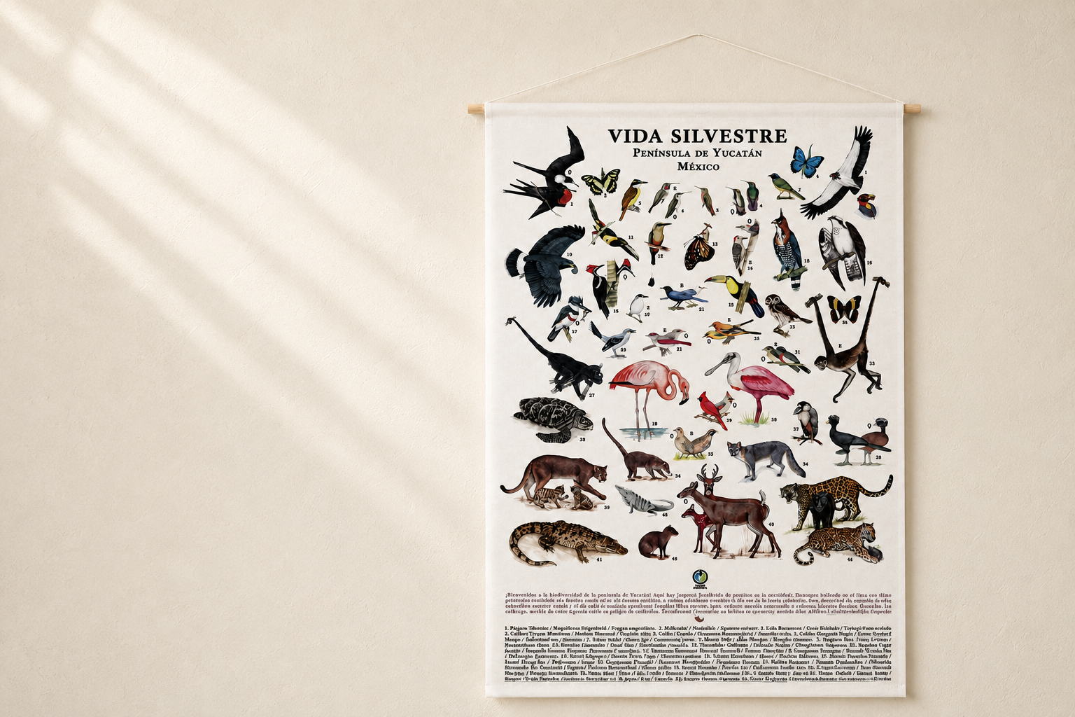 Print Vida Silvestre Península De Yucatán