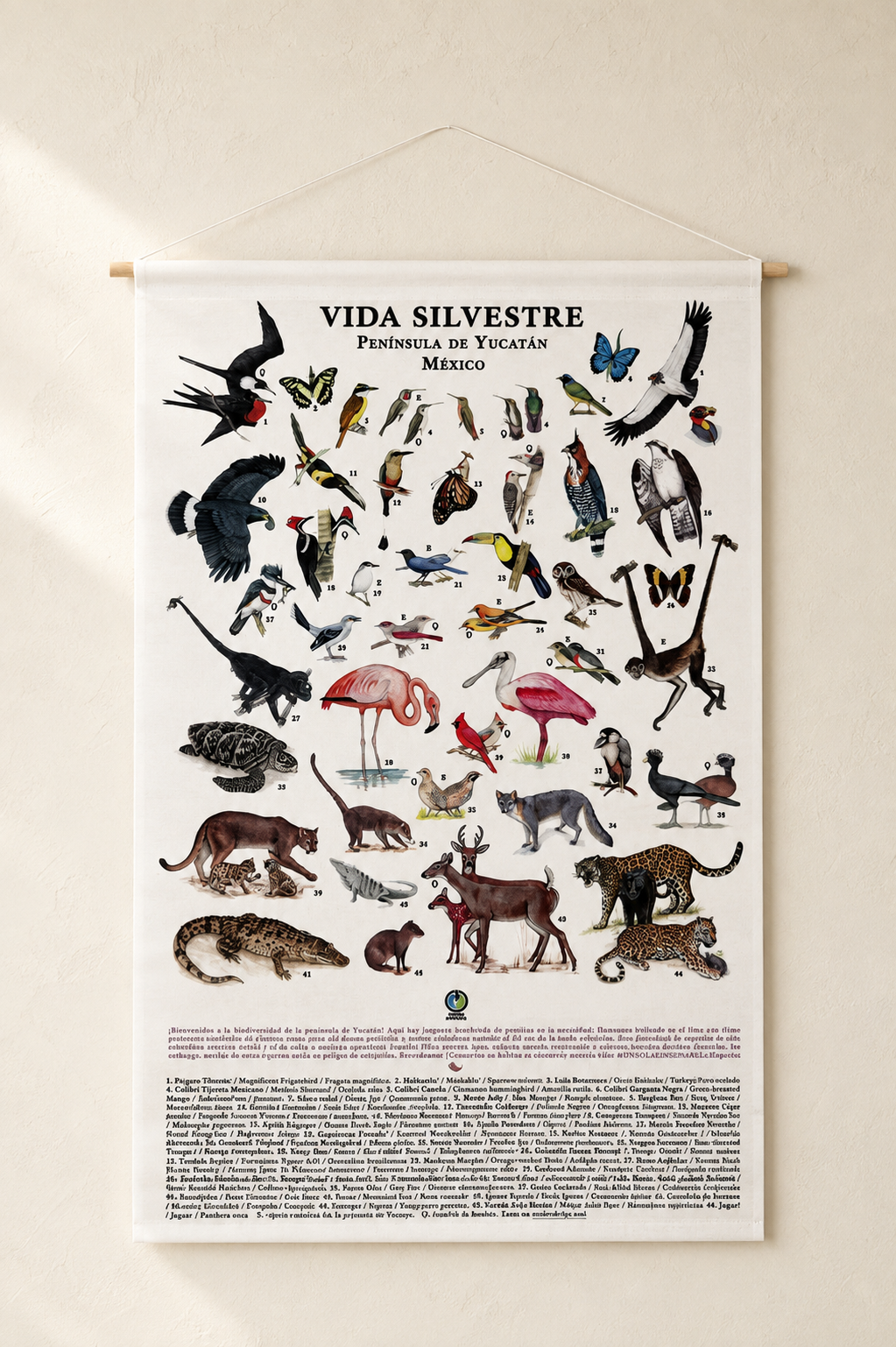Print Vida Silvestre Península De Yucatán