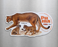 Imán Con Ilustración De Puma