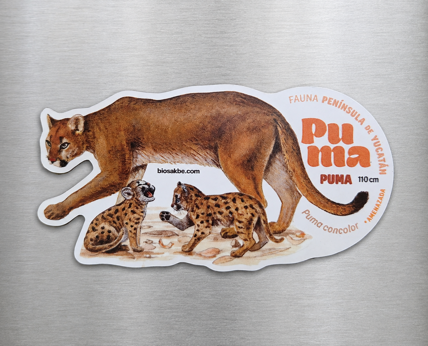 Imán Con Ilustración De Puma