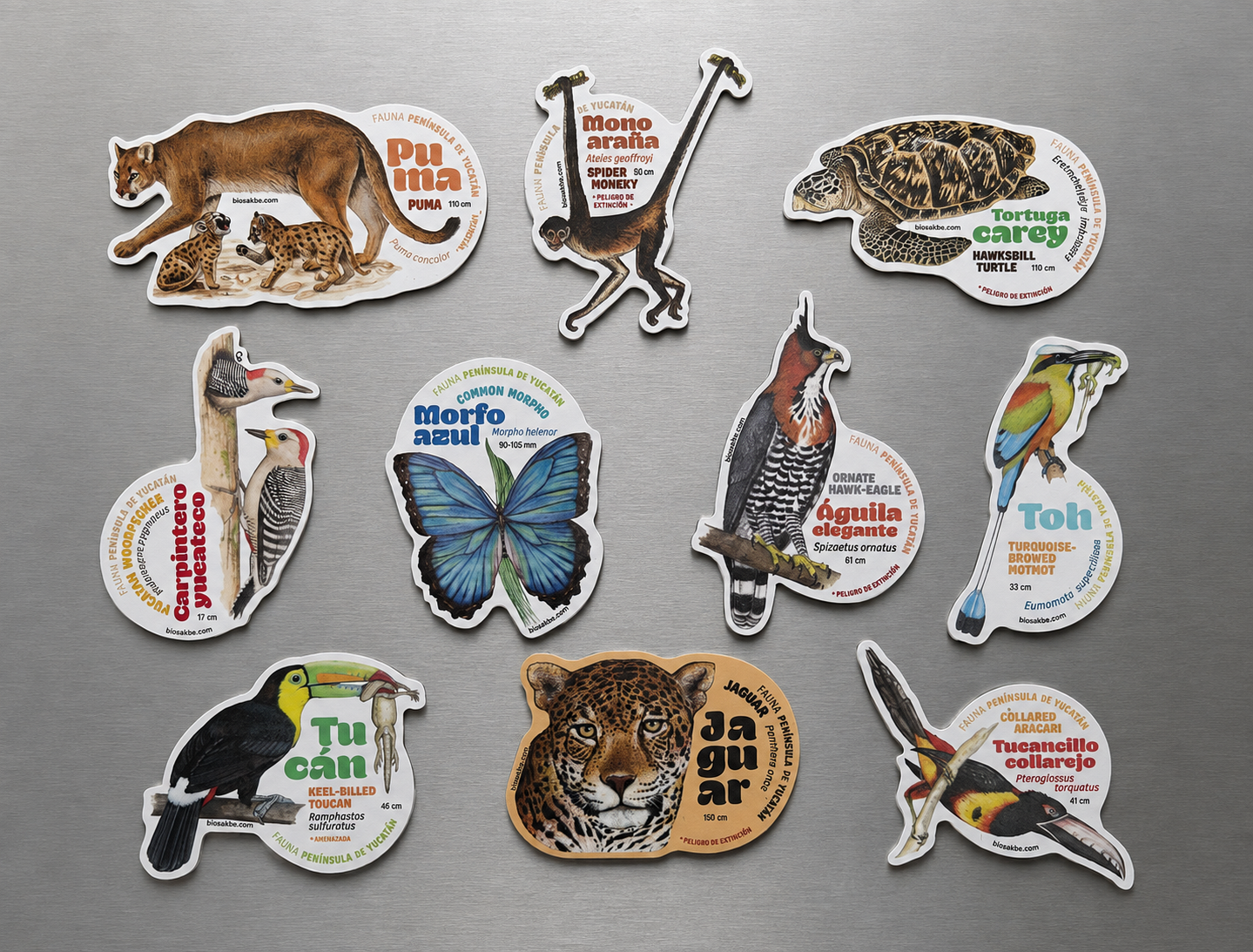 Juego de 10 Imanes Con Ilustraciones De Especies de Vida Silvestre De La Península De Yucatán